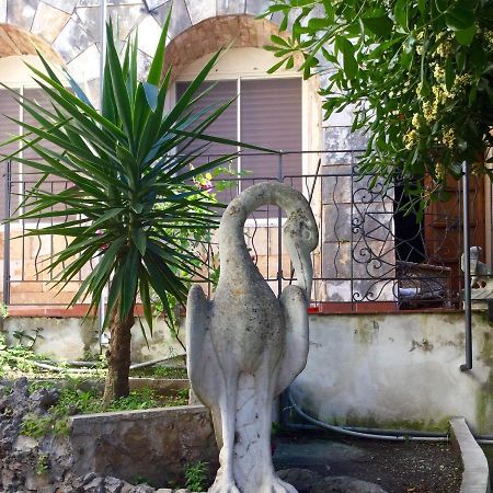 Villa Merina Vieste Eksteriør bilde